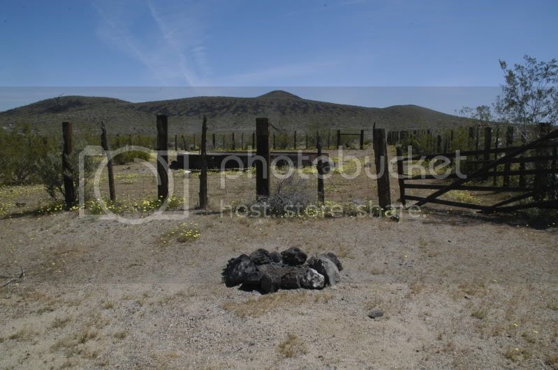 DSC_0444.jpg