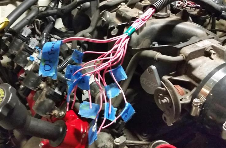 38--pink-harness-wires.jpg