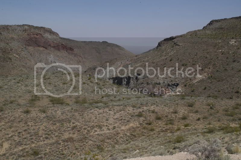 DSC_0290.jpg