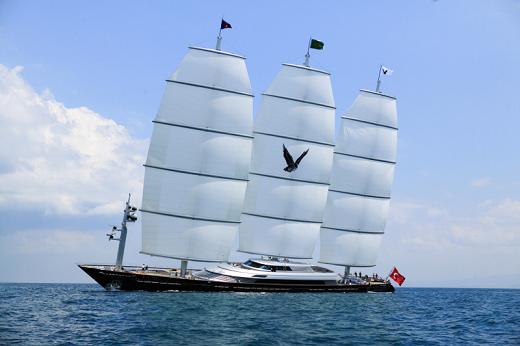 Maltese%20Falcon%20-%20Cruising.jpg