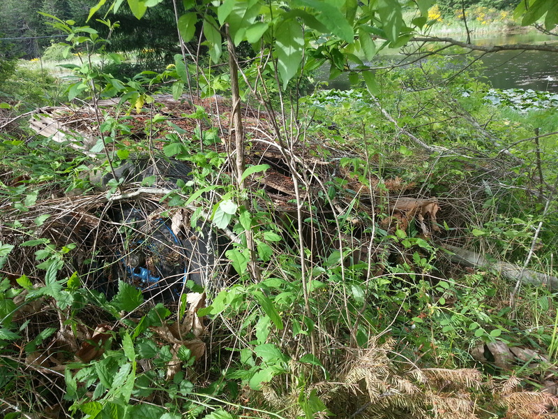 20160519_165201_zpsv2bqs1ux.jpg