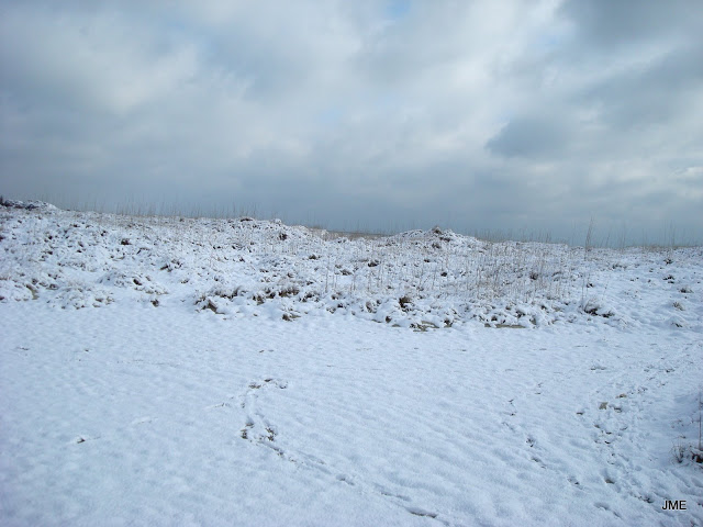 DSC04491.JPG