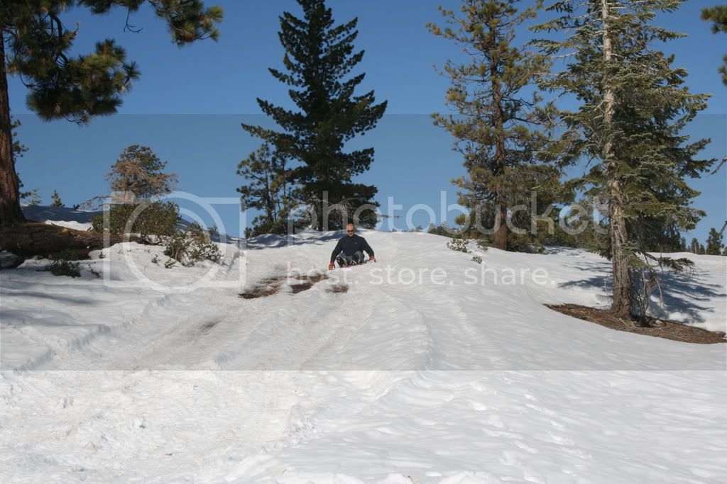 IMG_2523.jpg