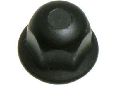 Snorkel-Nut.jpg