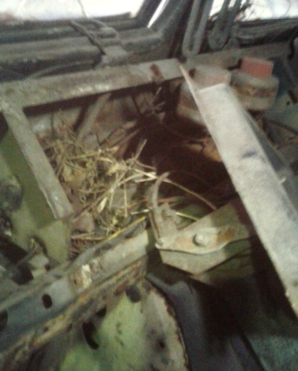 20161203_165428.jpg