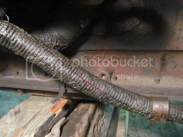 IMG_1769.jpg