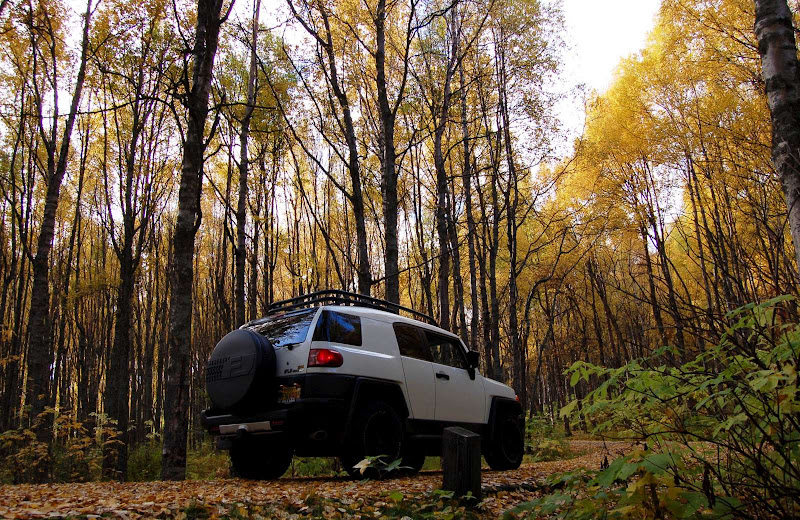 Fall_15-1600.jpg