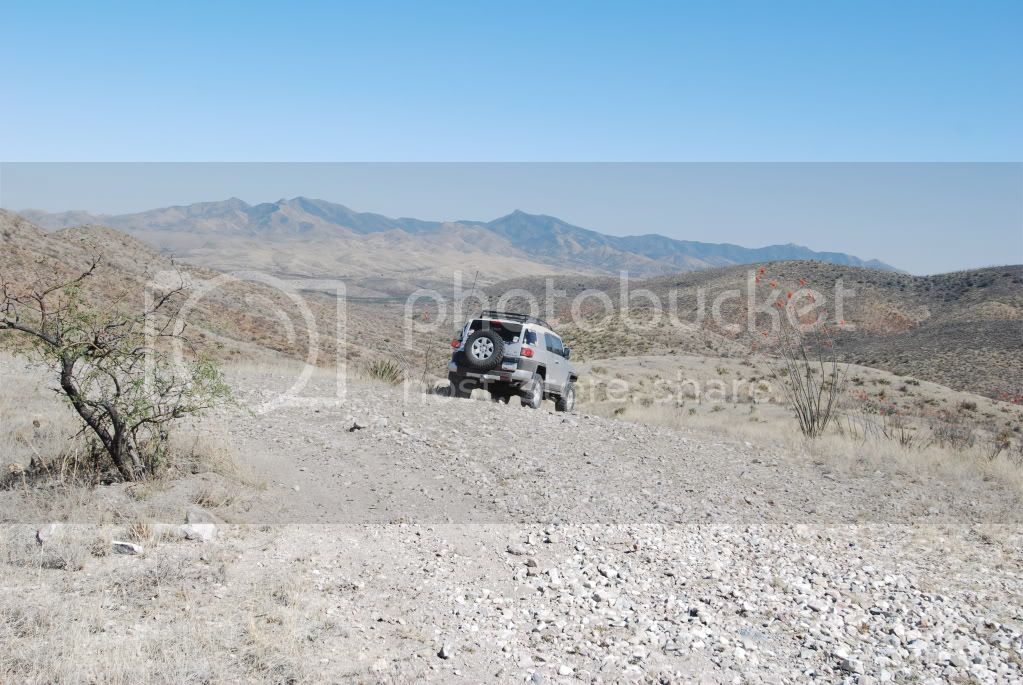 DSC_0281.jpg