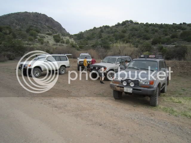 IMG_0464_1.jpg