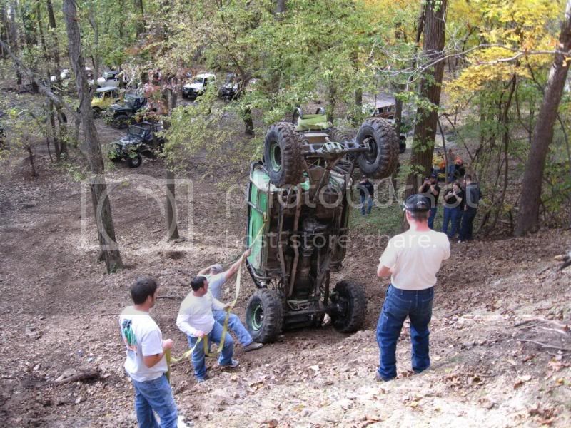 stinger3.jpg