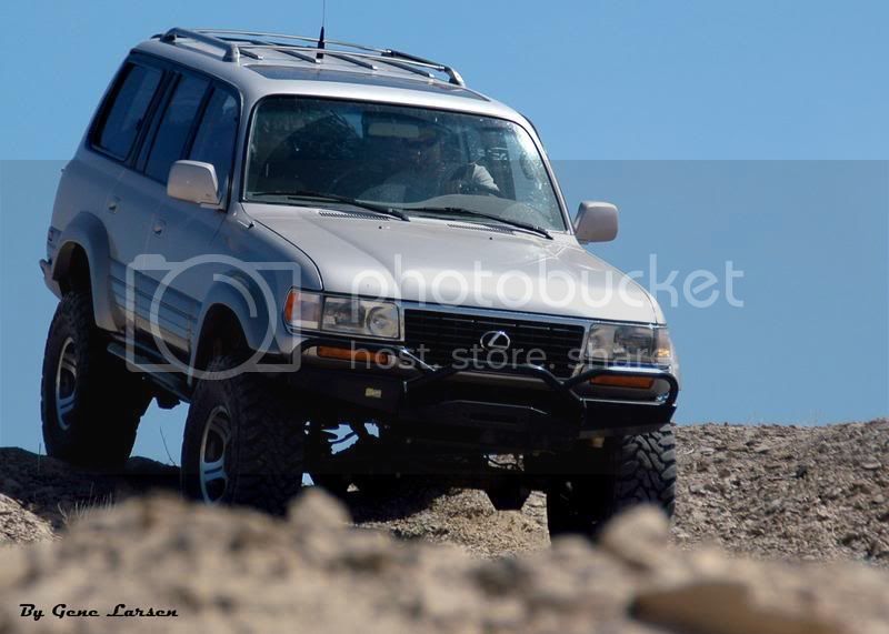 Lexus.jpg