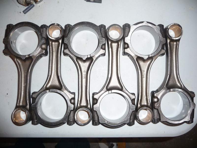 P1040160-L.jpg