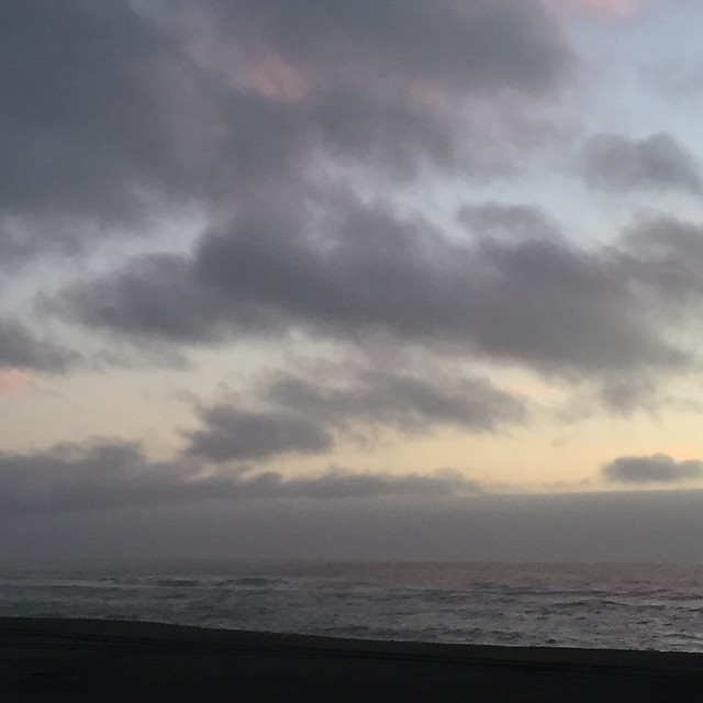 29675048716_cebf9e0e03_z.jpg