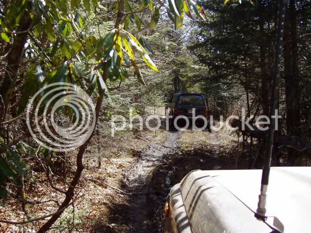 March06122.jpg