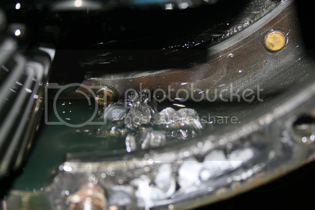 IMG_2584.jpg