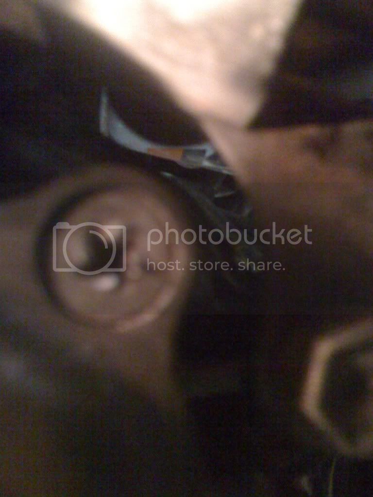 IMG_0859.jpg