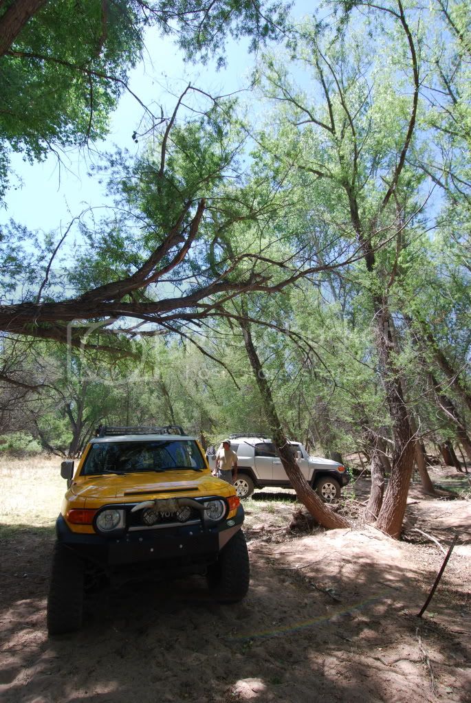DSC_0262.jpg