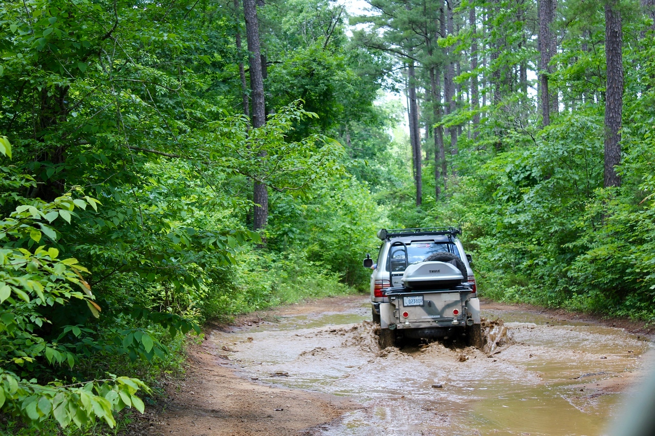 IMG_6624-X2.jpg