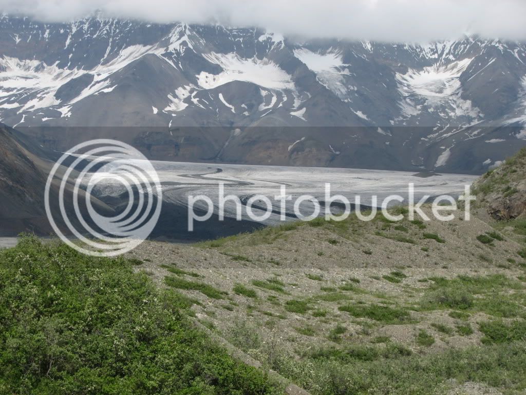 IMG_6018.jpg