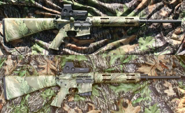 RemR15-EOTech552a.jpg