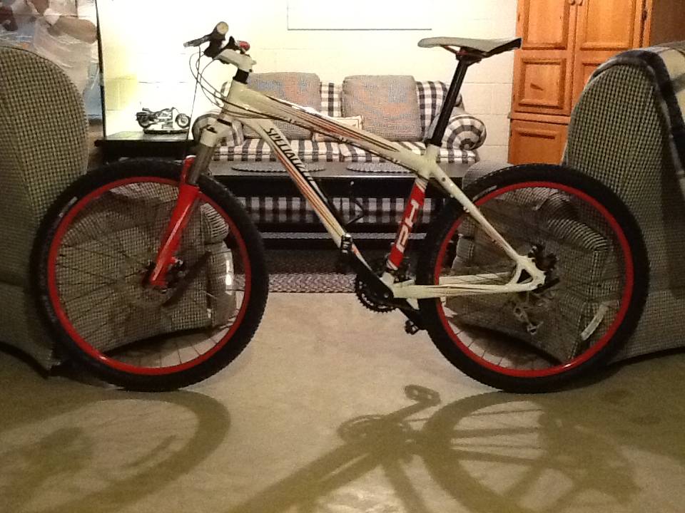 Specialized.jpg