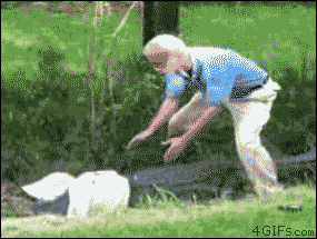 SmFx9J5.gif