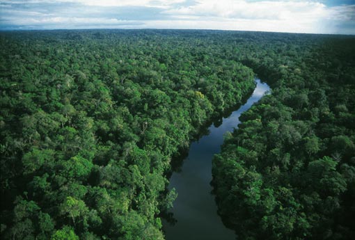 amazon_rainforest_sea_of_green.jpg