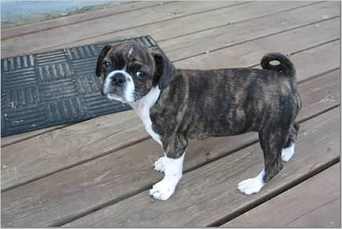 47b7da24b3127cce830ece2d042200000036108CYtmblq1cO