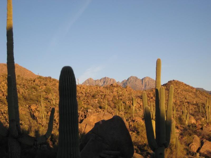 FourPeaksPickup08122.jpg