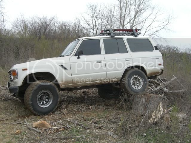 digcamall406.jpg