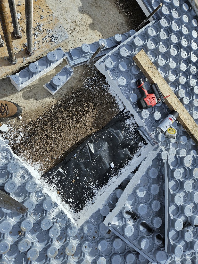 53474496533_33e2750cc0_b.jpg