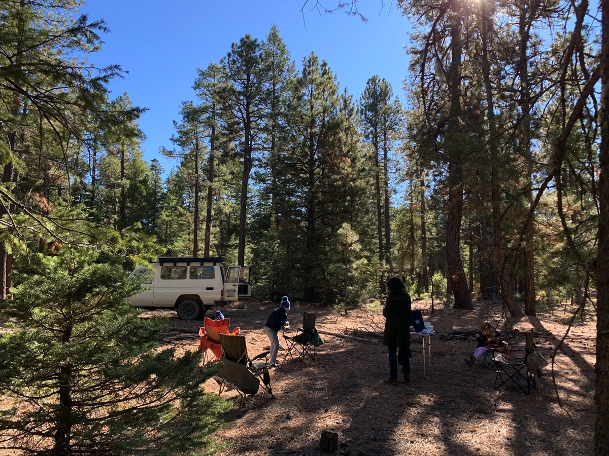497picnic.jpg