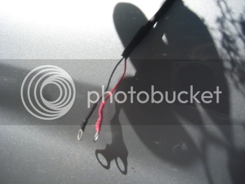 IMG_3134.jpg