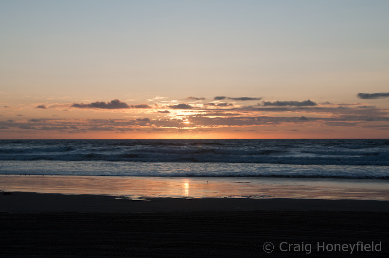 DSC4135-L.jpg