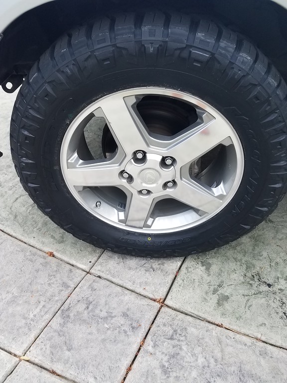 20181003_171909-XL.jpg