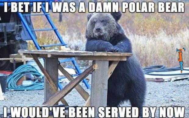 I-Bet-If-I-Was-A-Damn-Polar-Bear-Funny-Bear-Meme.jpg