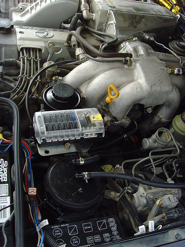 5005701536_809c7532e8.jpg