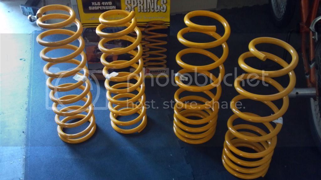 TJMsprings.jpg