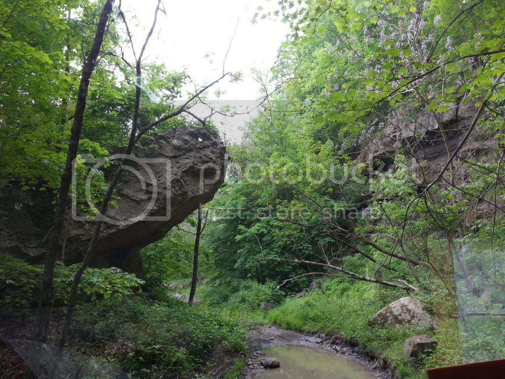 20130517_125057_zps2dd2bb07.jpg