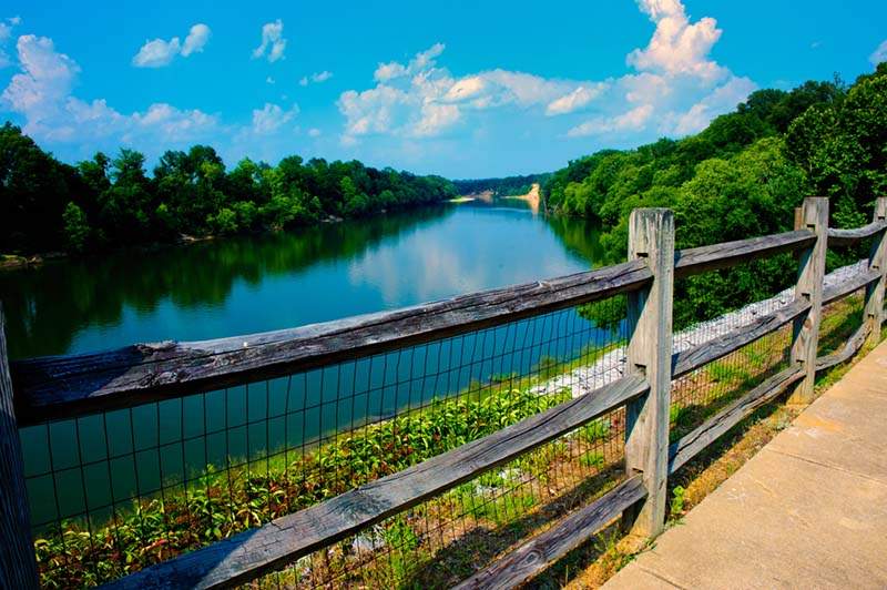 alabamabirdingtrails.com