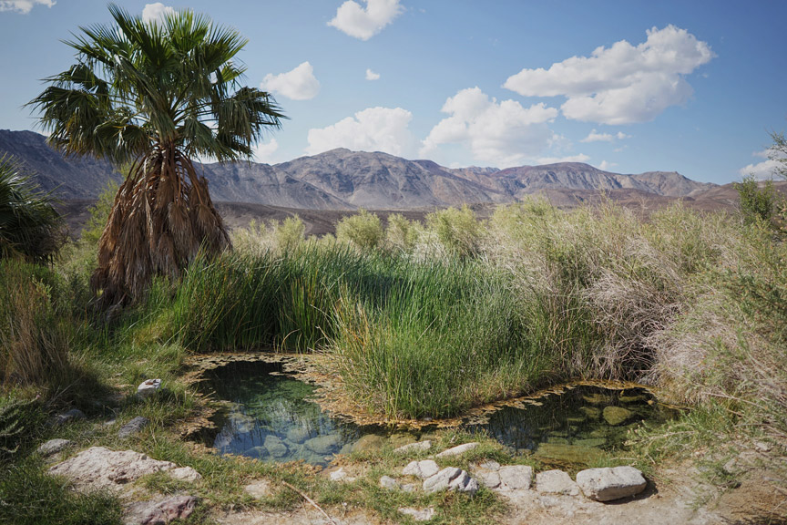 15-PupfishSprings.jpg