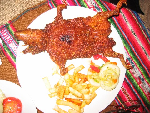 4.%20guinea%20pig.jpg