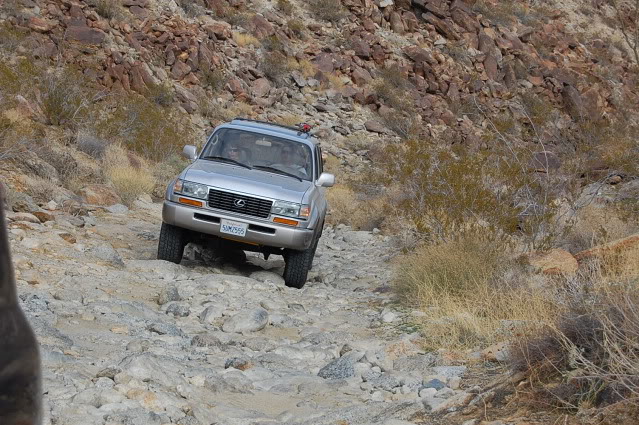 DSC_3560.jpg