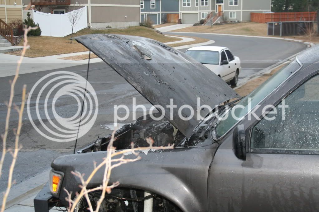 IMG_1373.jpg