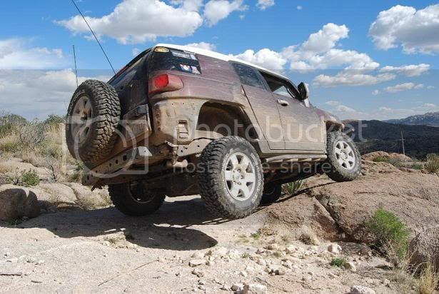 alamo20downsized.jpg