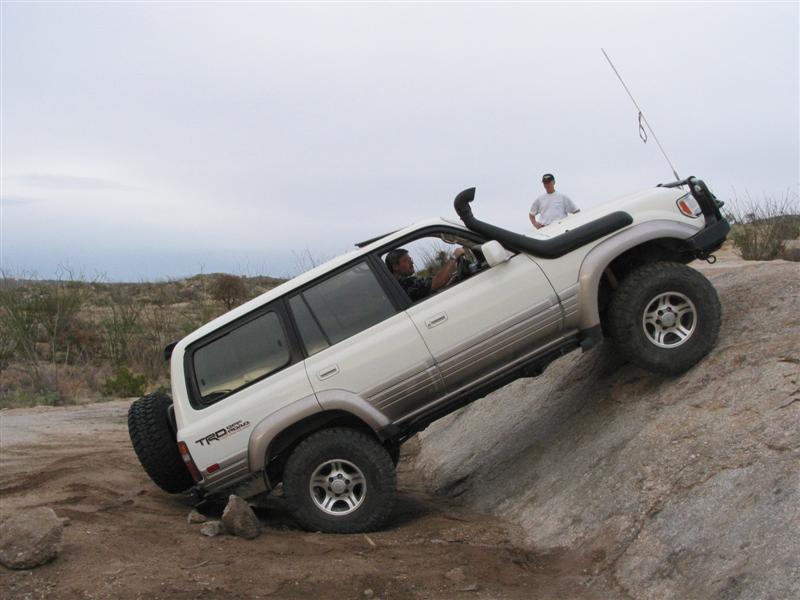 25909900-L.jpg