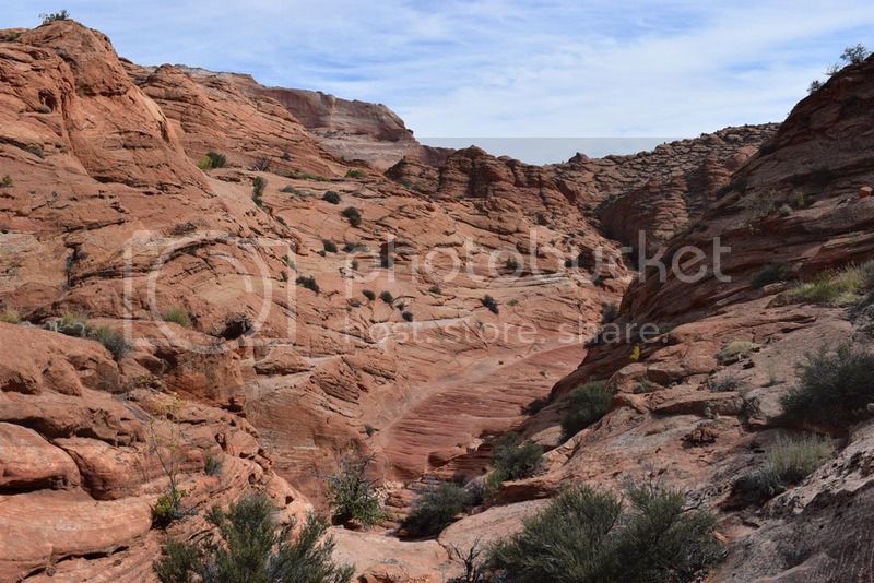 DSC_0321.jpg