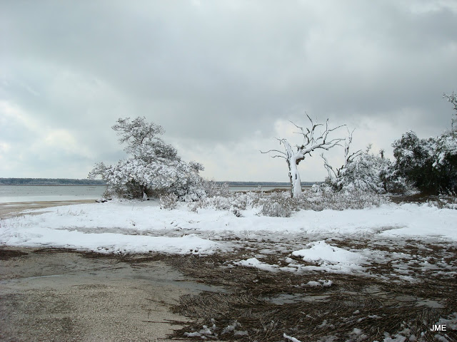 DSC04503.JPG