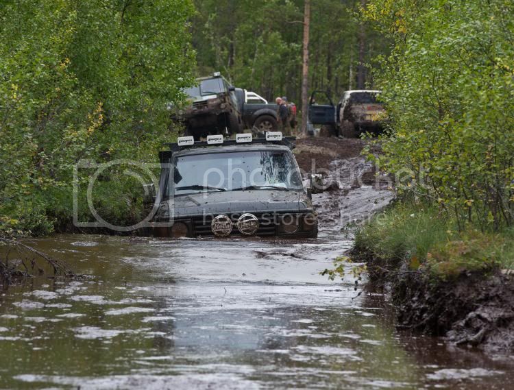 DSC_0058knut.jpg