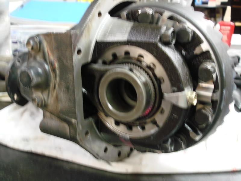 DSC02786.jpg